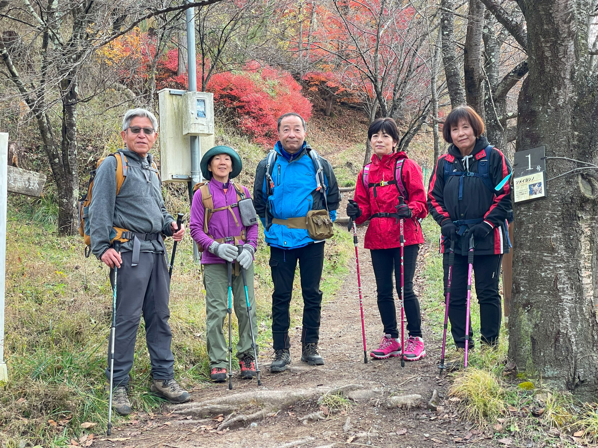 保護中: 光城山　(2024.12.2)