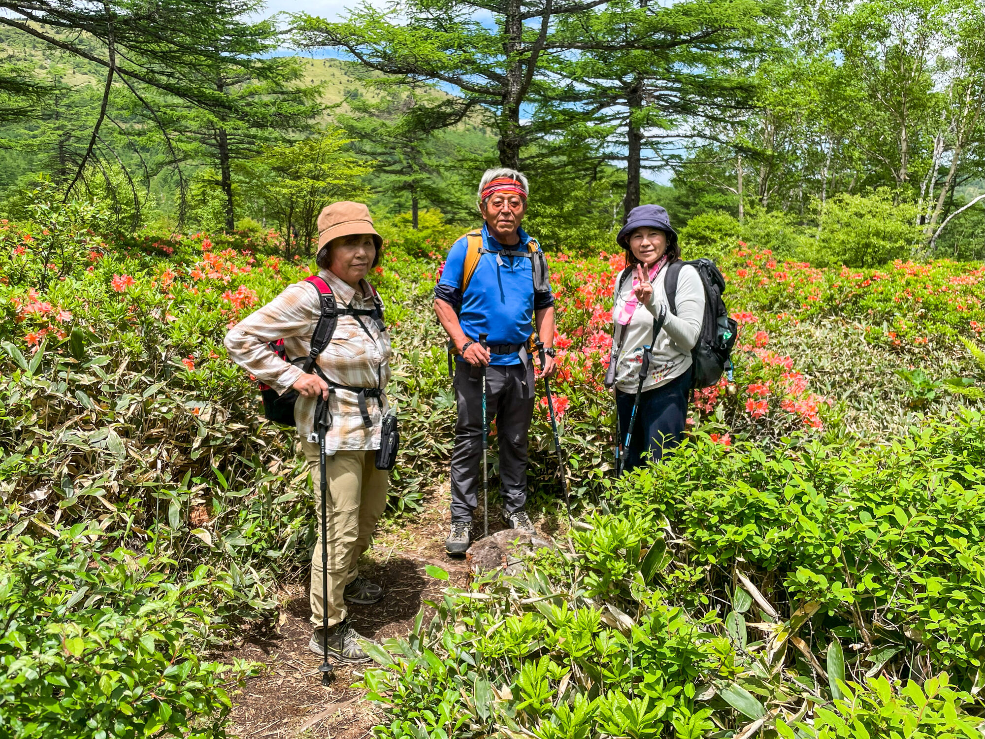 保護中: 湯の丸山　(2024.6.21)