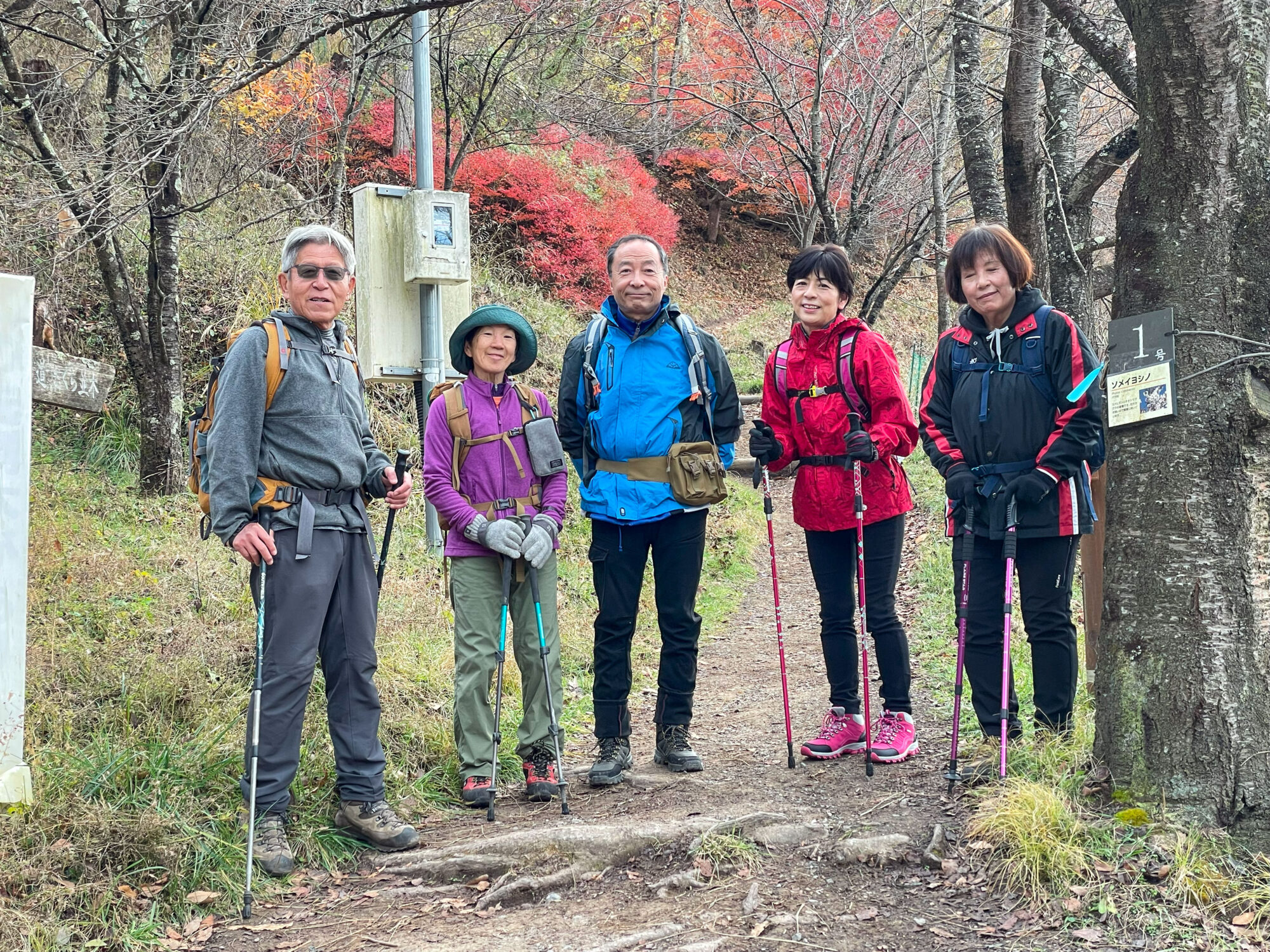 光城山　(2024.12.2)