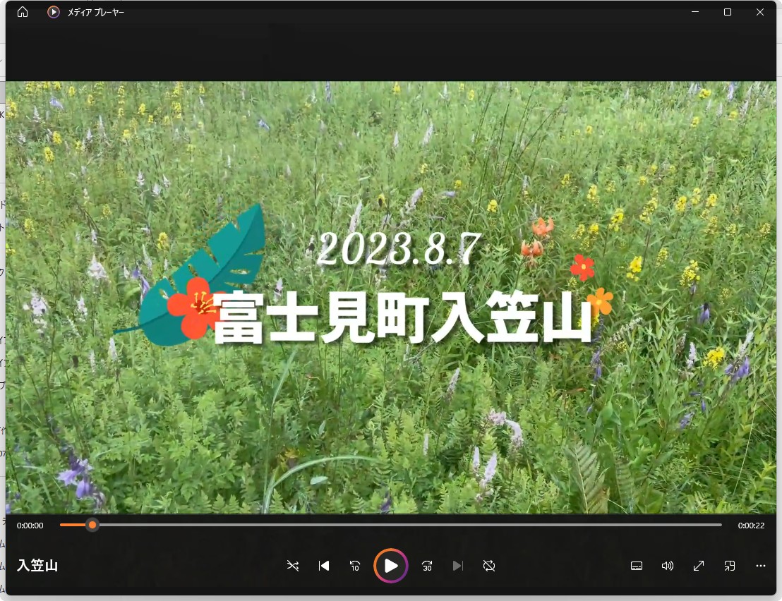 保護中: 入笠山 映像　(2023.8.7)