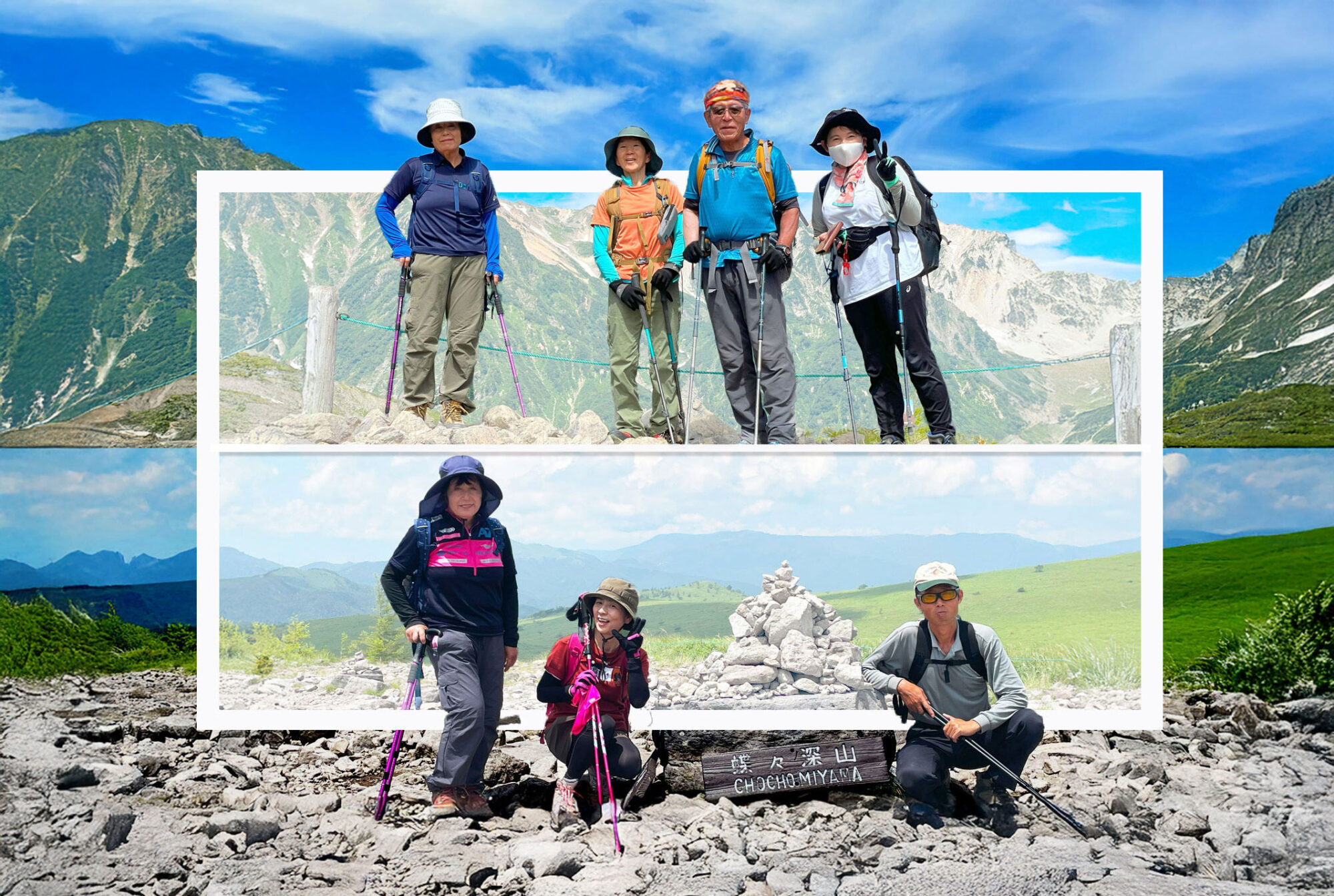 11月の活動予定