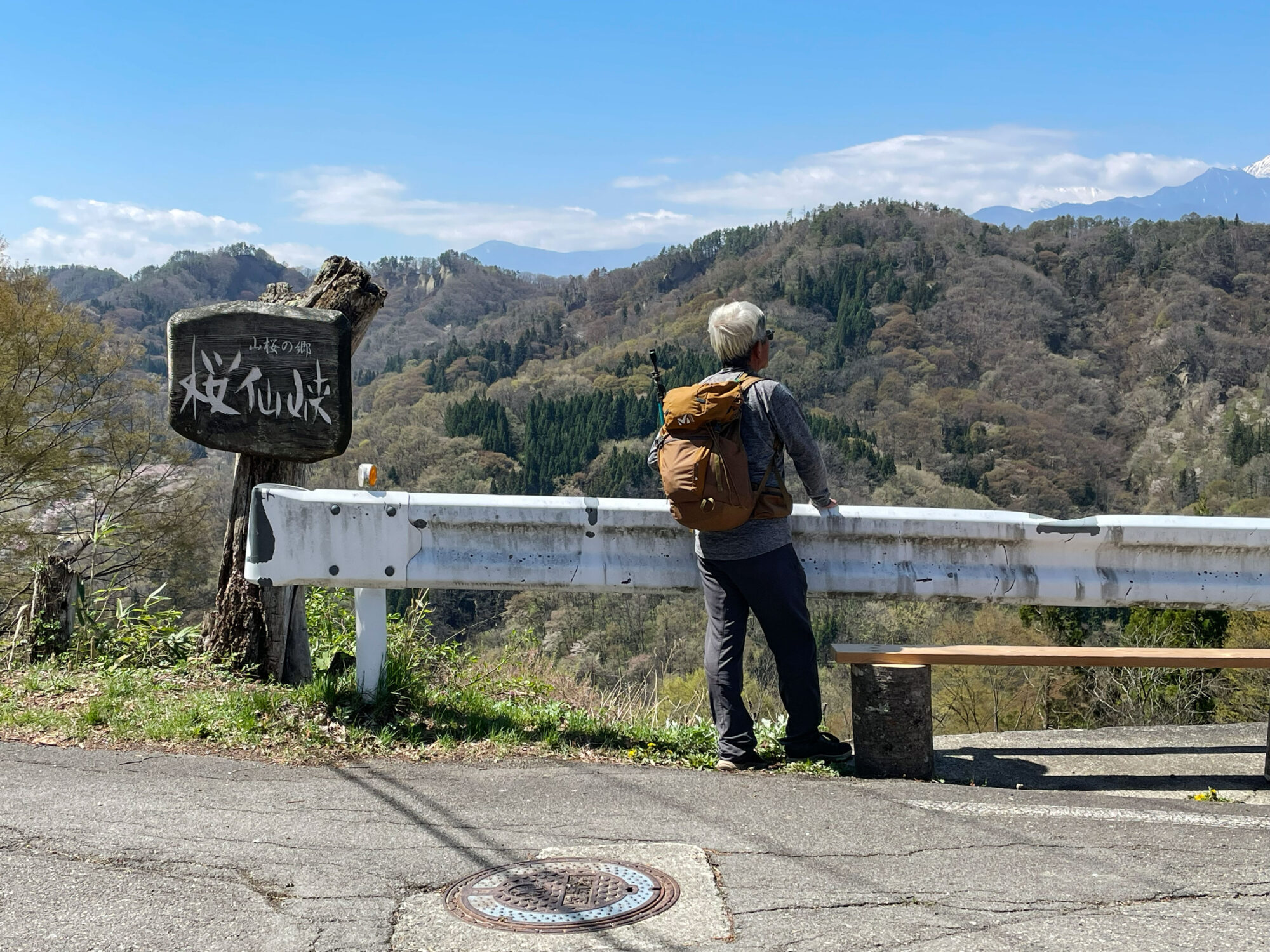 保護中: 陸郷 桜仙峡　(2026.4.16)